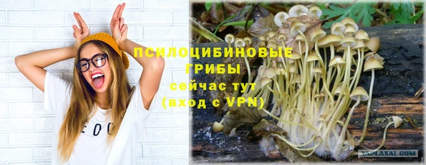 а пвп мука Балахна
